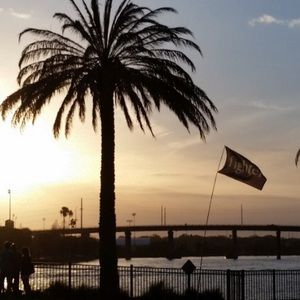 Meet your Posher, Drew